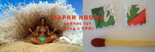 стаф Алзамай