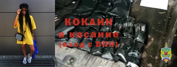 стаф Алзамай