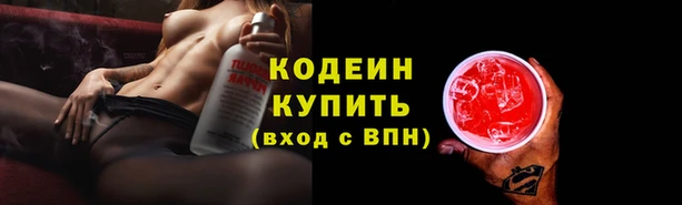 стаф Алзамай