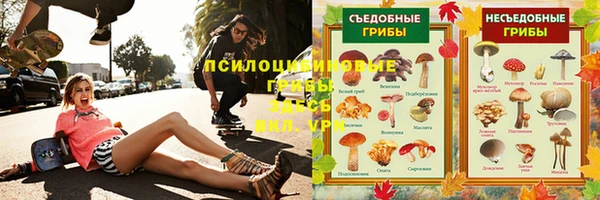 сатива Алексин