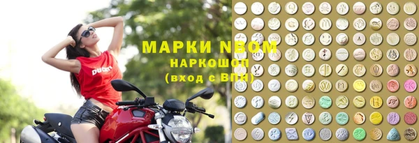 сатива Алексин