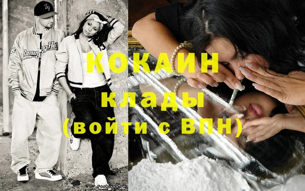 стаф Алзамай