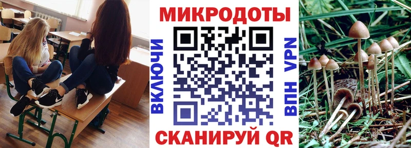 Псилоцибиновые грибы Magic Shrooms  Кукмор 